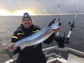Lachssaison 2018 bei Rügens Fischerman