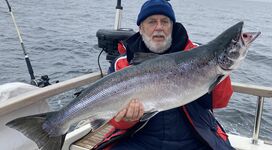 Am ersten Tag zum Saisonstart wurde eine 11,5 kg großer Lachs gefangen, der Drill dauerte ca. 45 Minuten