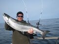 erfolgreicher Lachsfang vor Rügen 2015