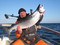 mit Rügens Fischerman den ersten Lachs gefangen