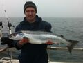 Der Lachsangler der erste Fang 2014 Ostsee