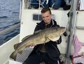 Dorsch gefangen  2020 mit Rügens Fischerman