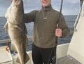 Dorsch gefangen  2020 mit Rügens Fischerman