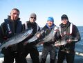 Die vier Lachsangler bei Fischerman Rügen