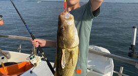 Dorschangeln mit Rügens Fischerman