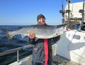 Fischerman vor Rügen auf Lachs am 22.02.2014