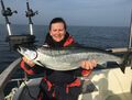 Starker Fang - Lachs auf der Ostsee vor Rügen April 2017